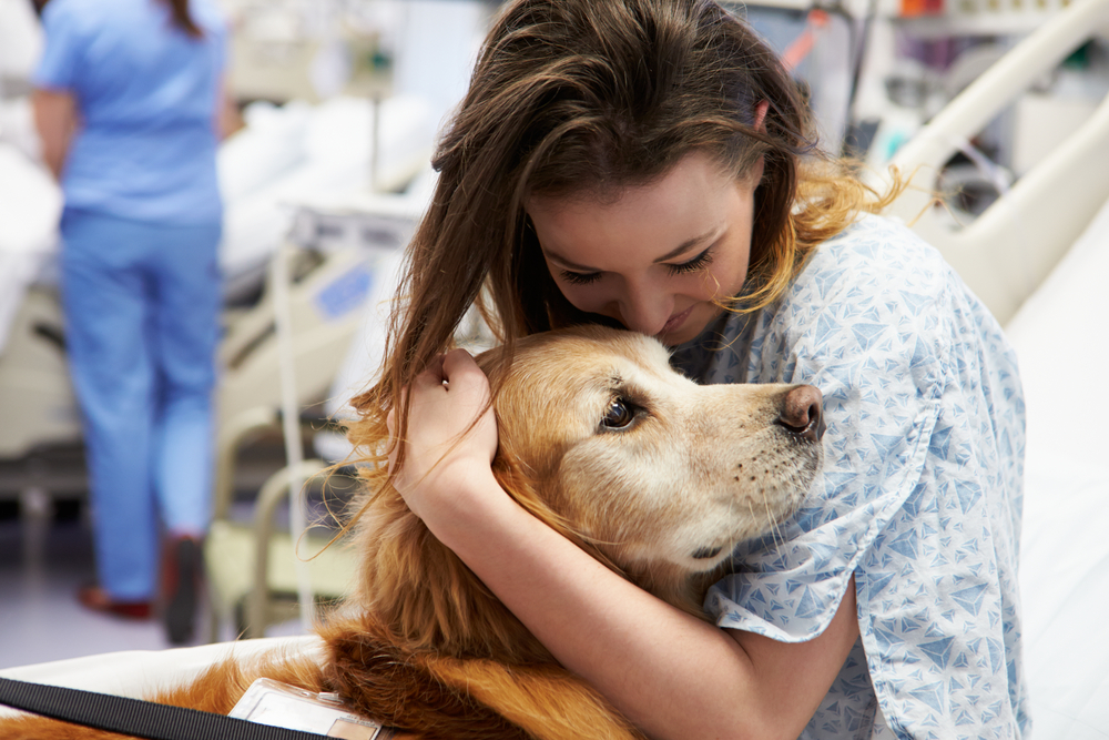 Patients Undergoing Radiation Therapy Benefit From Animal Assisted Therapy
